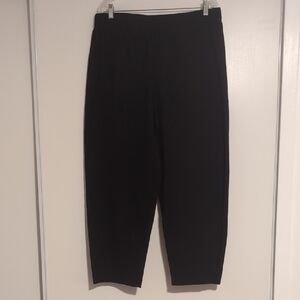 Eileen Fisher Elegant Black Dress Pants Baggy & Lg.